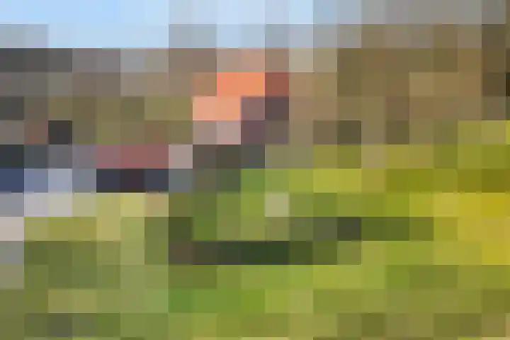 Oude Groenloseweg 17 Eibergen thumbnail 6