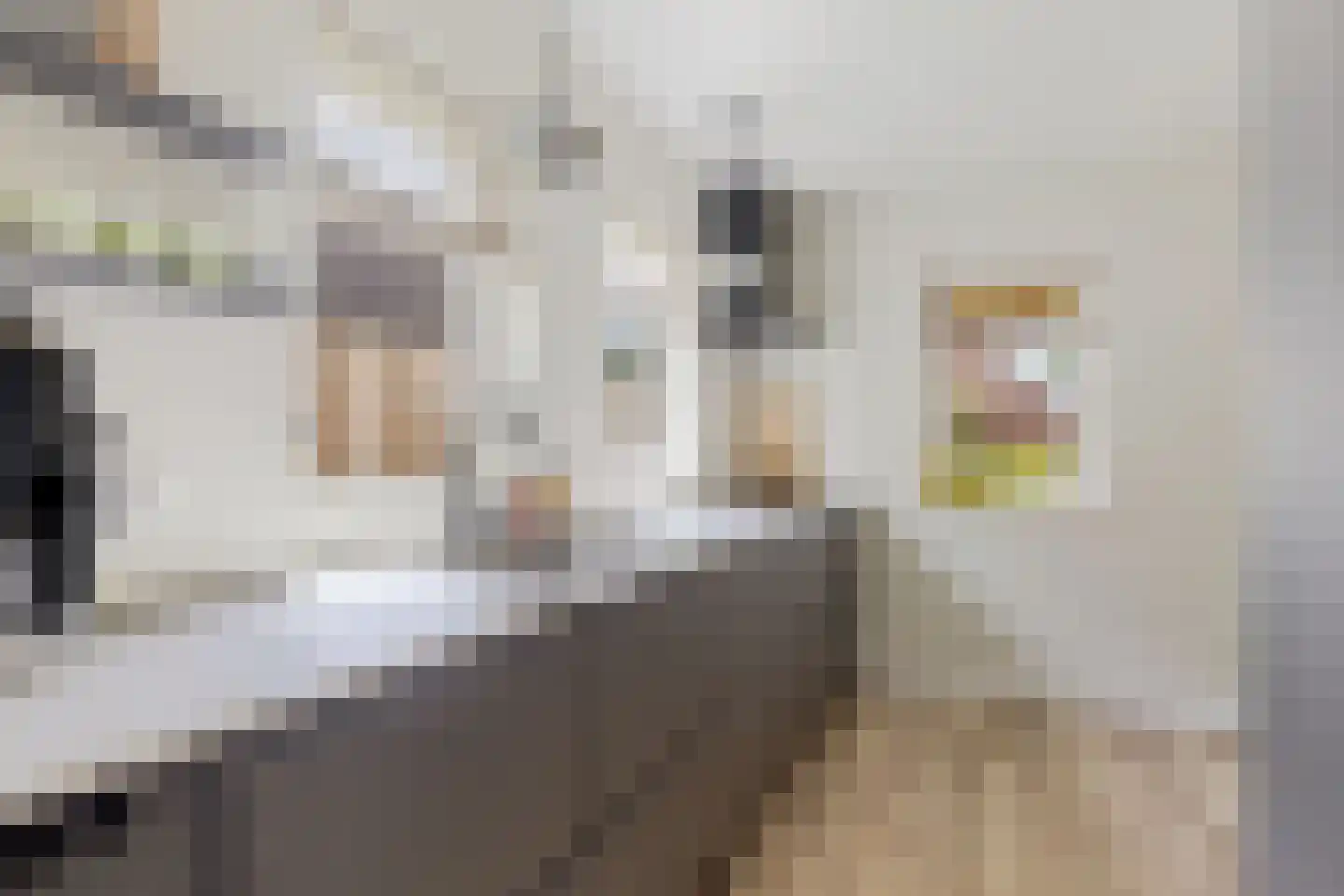 Oude Groningerweg 3 a Gieten thumbnail 13