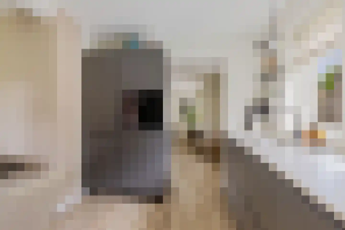 Oude Groningerweg 3 a Gieten thumbnail 15