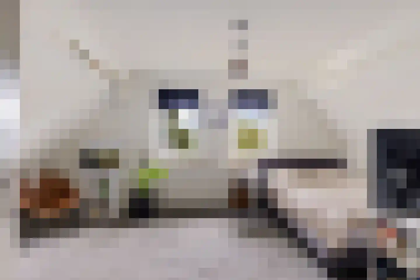 Oude Groningerweg 3 a Gieten thumbnail 24