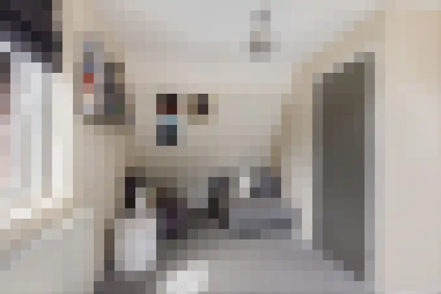 Oude Groningerweg 3 a Gieten thumbnail 28