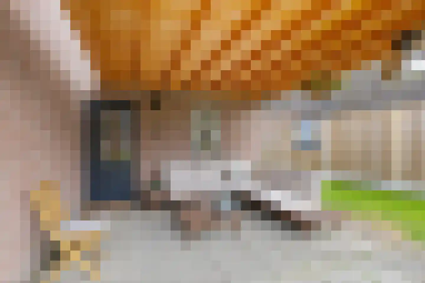 Oude Groningerweg 3 a Gieten thumbnail 38