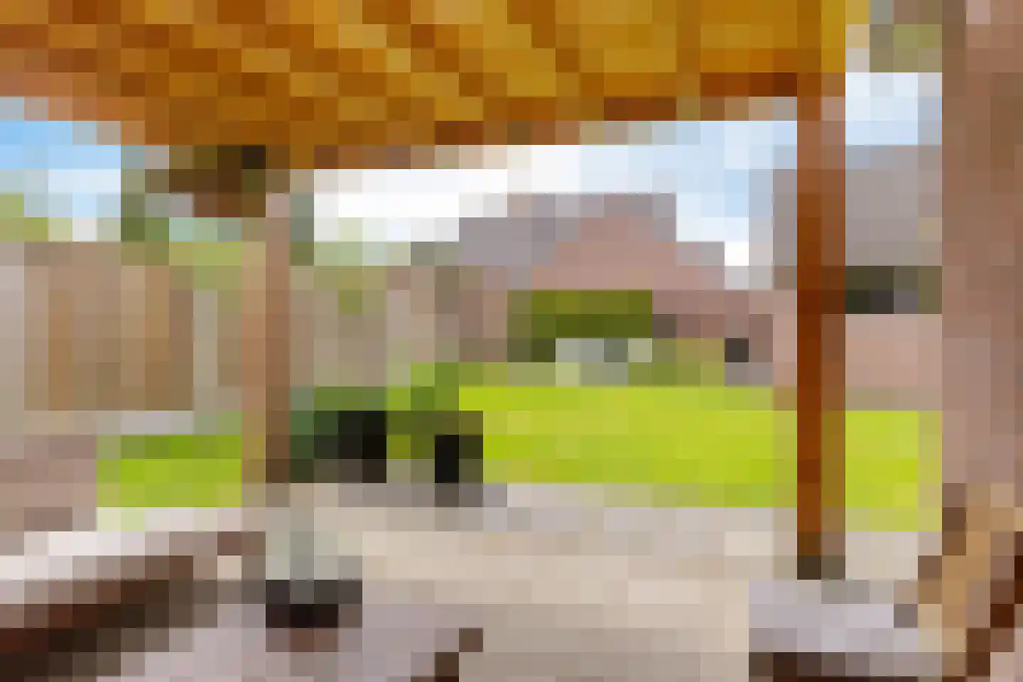 Oude Groningerweg 3 a Gieten thumbnail 39