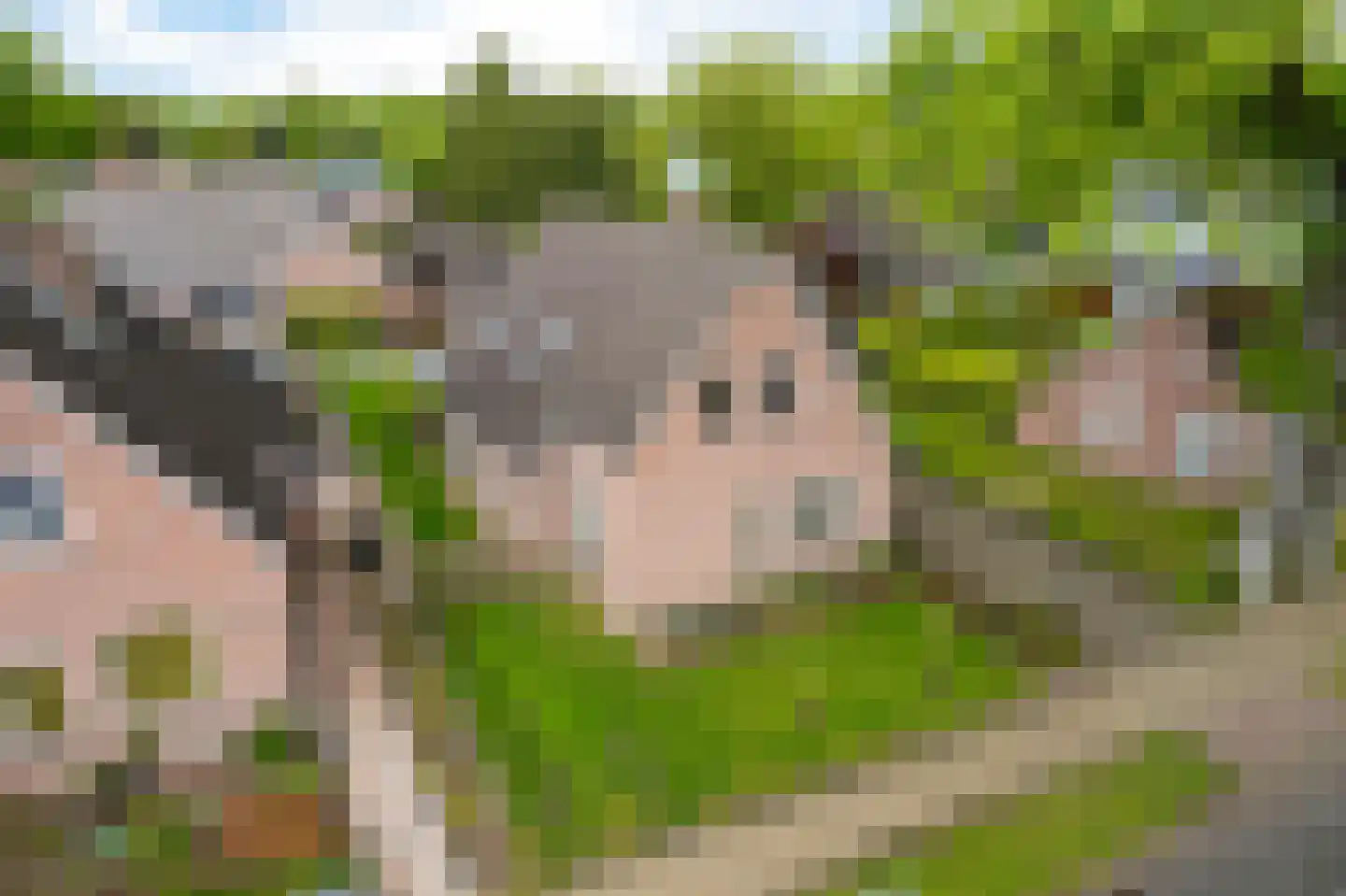 Oude Groningerweg 3 a Gieten thumbnail 5