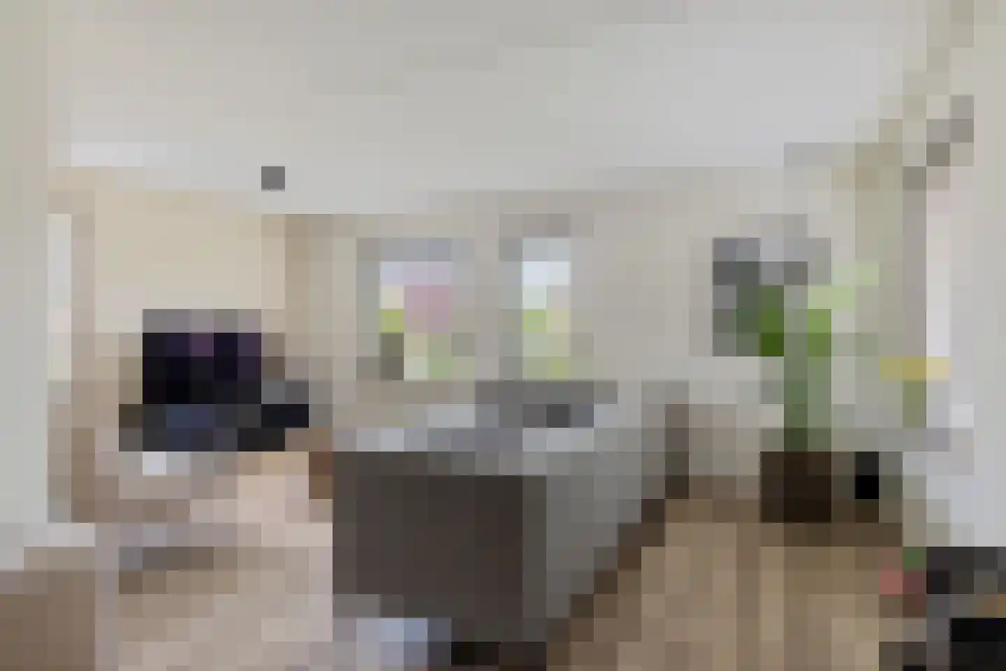 Oude Groningerweg 3 a Gieten thumbnail 8