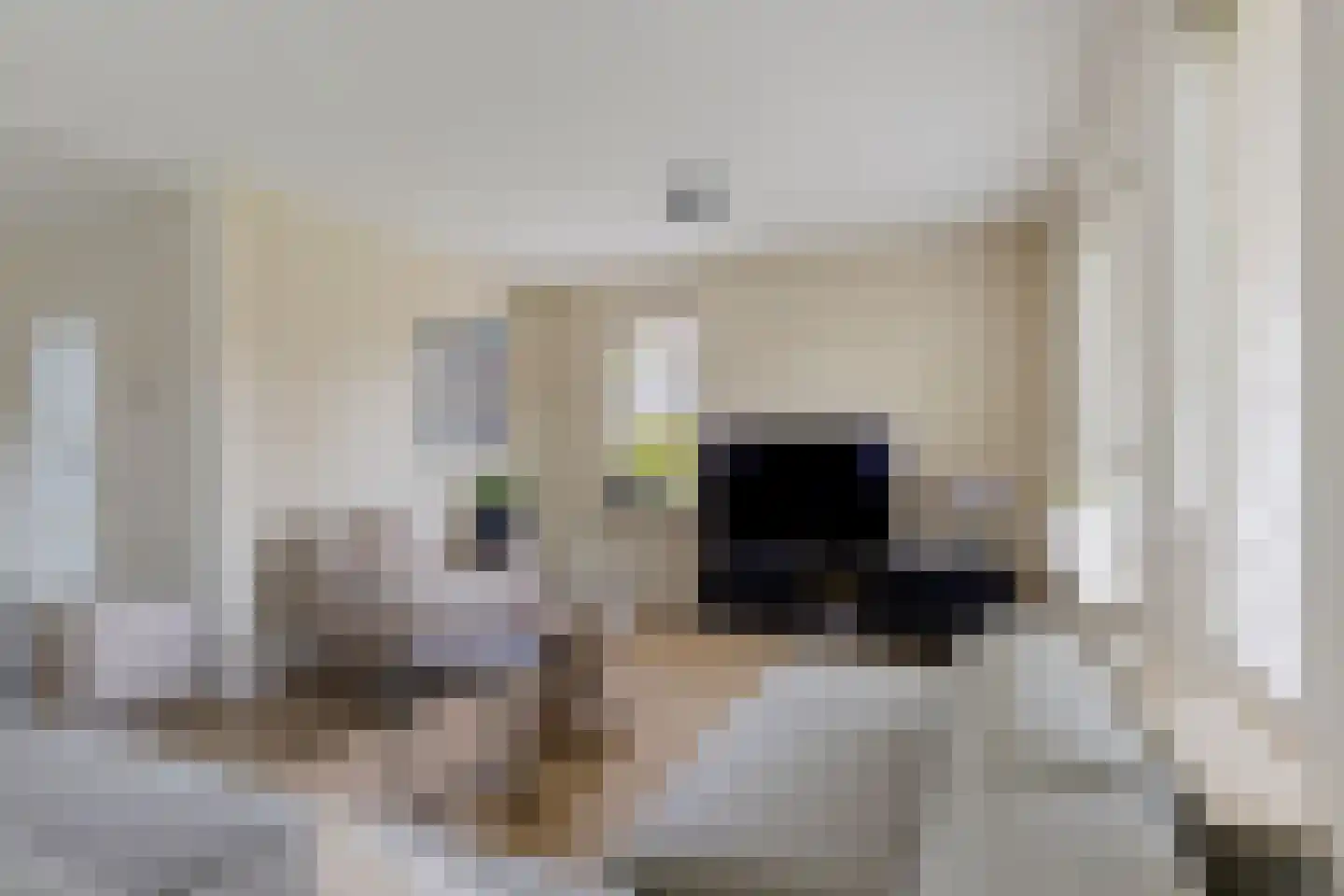 Oude Groningerweg 3 a Gieten thumbnail 9