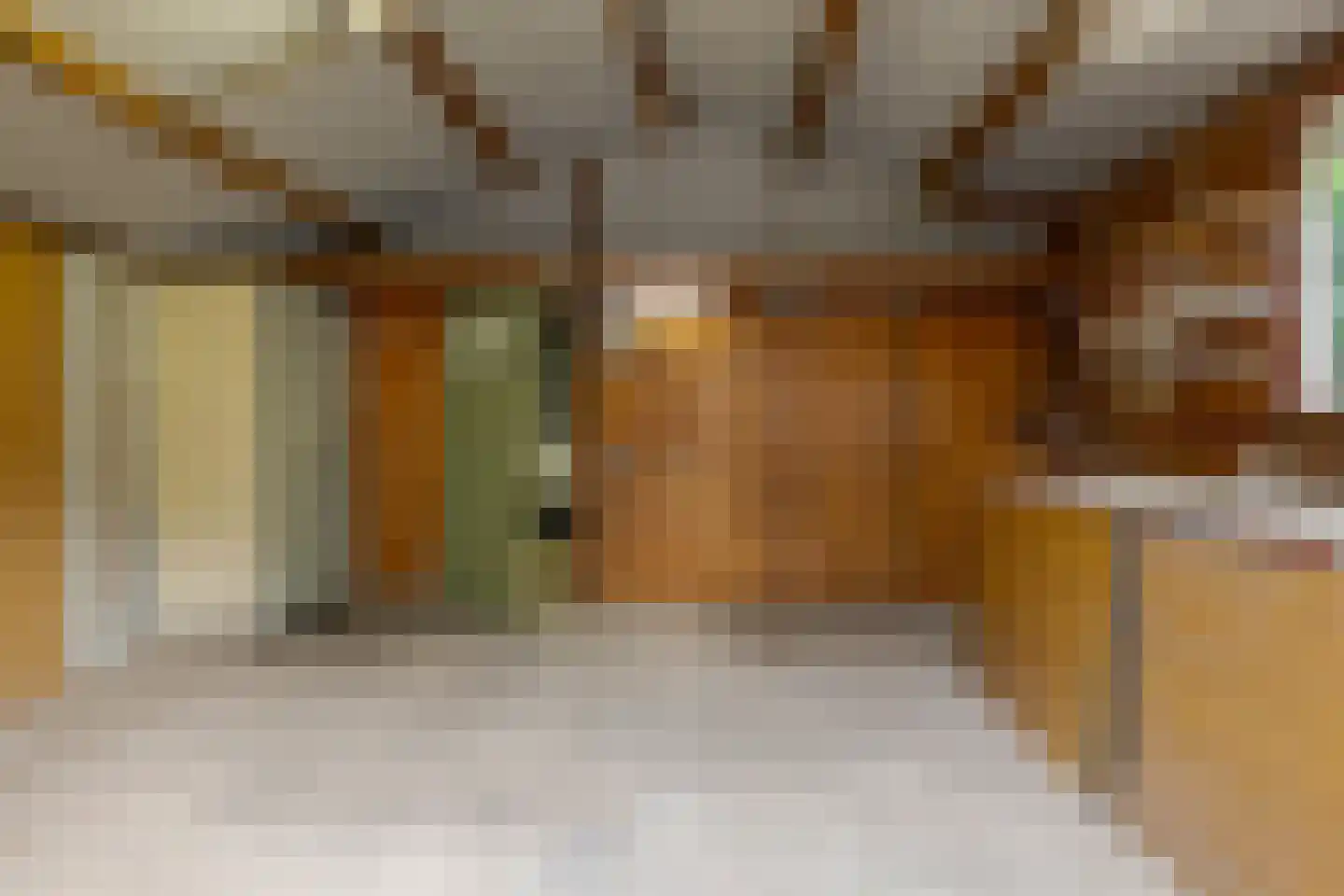 Oude Groningerweg 4 Westerbork thumbnail 49