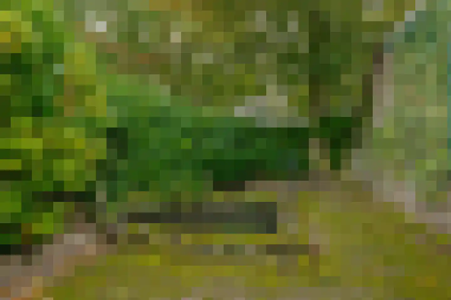 Oude Groningerweg 4 Westerbork thumbnail 51