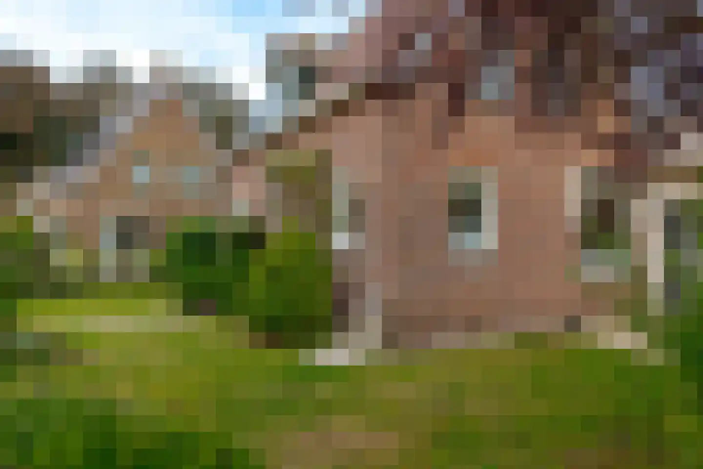 Oude Groningerweg 4 Westerbork thumbnail 6
