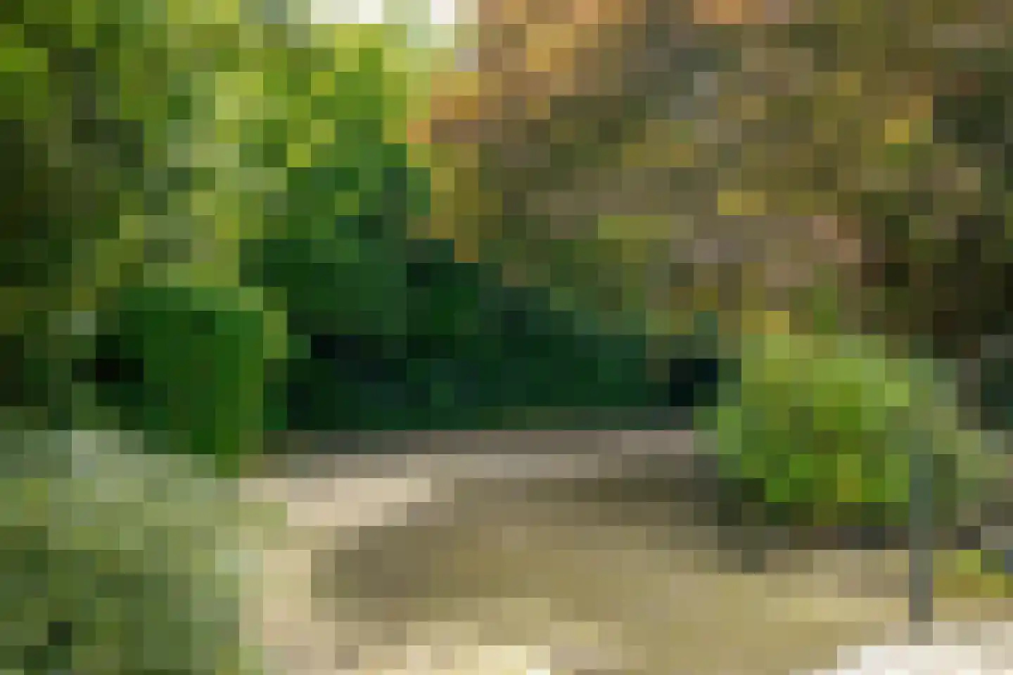 Oude Groningerweg 7 Westerbork thumbnail 31