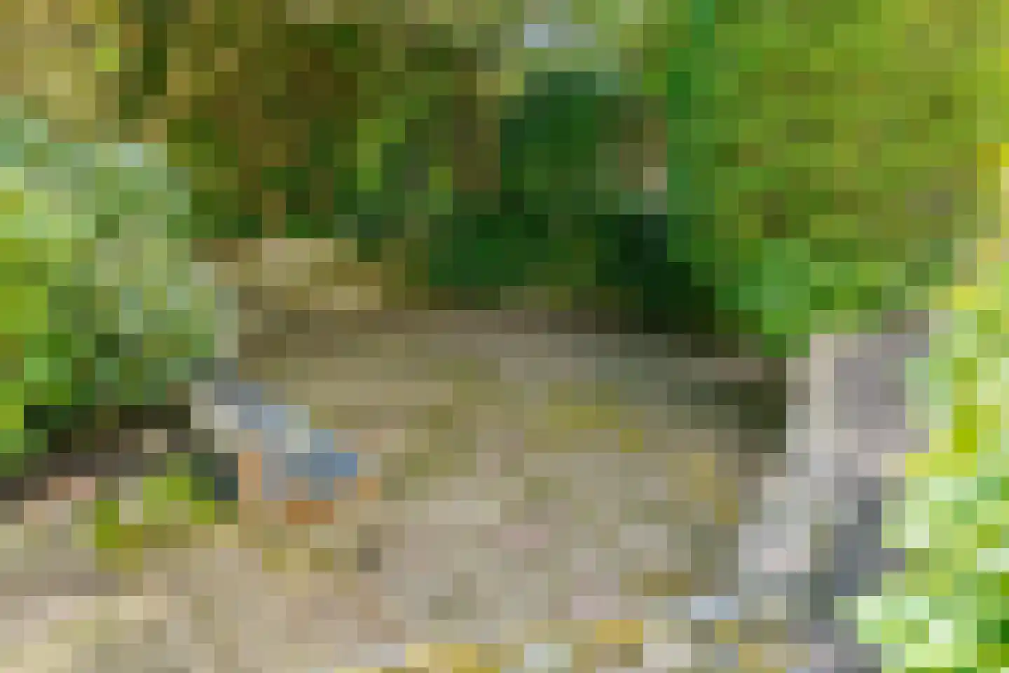 Oude Groningerweg 7 Westerbork thumbnail 32