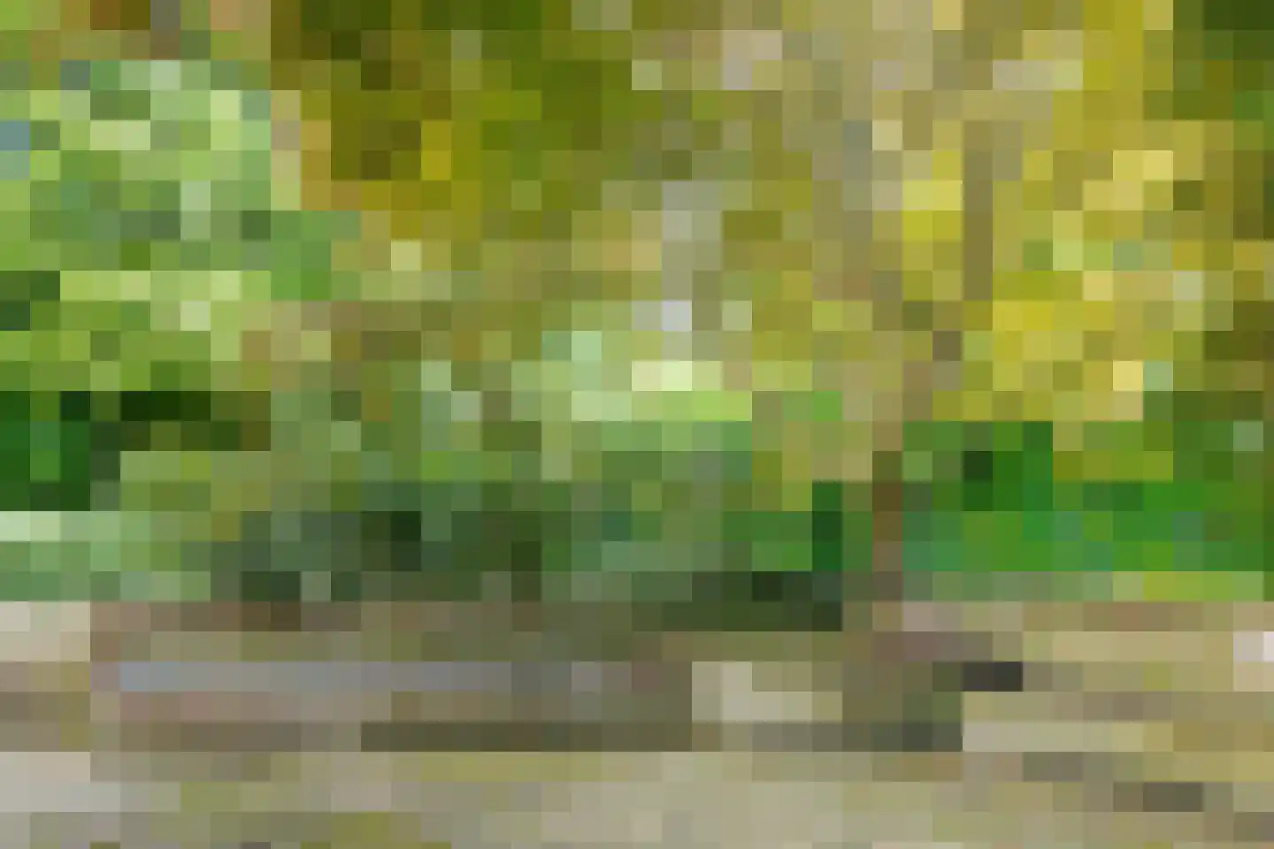 Oude Groningerweg 7 Westerbork thumbnail 33