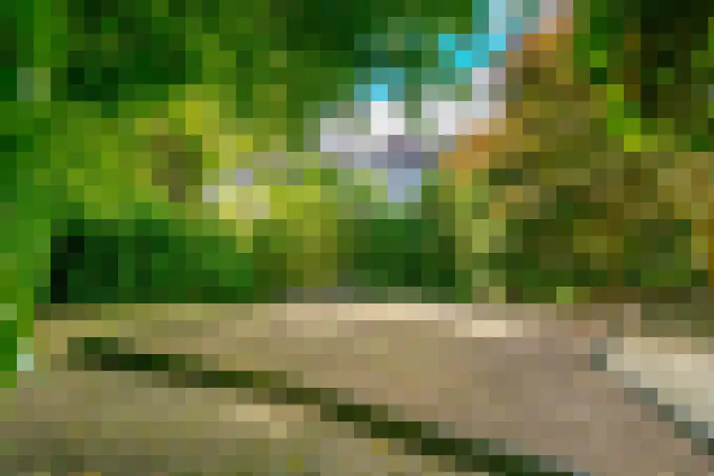 Oude Groningerweg 7 Westerbork thumbnail 35