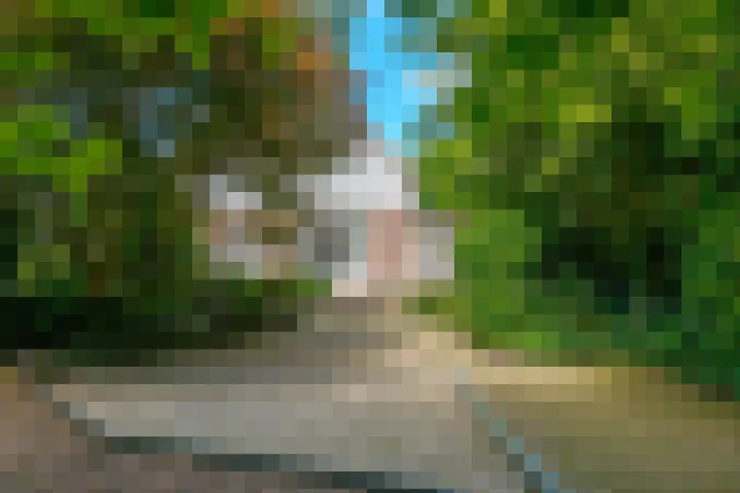 Oude Groningerweg 7 Westerbork thumbnail 37
