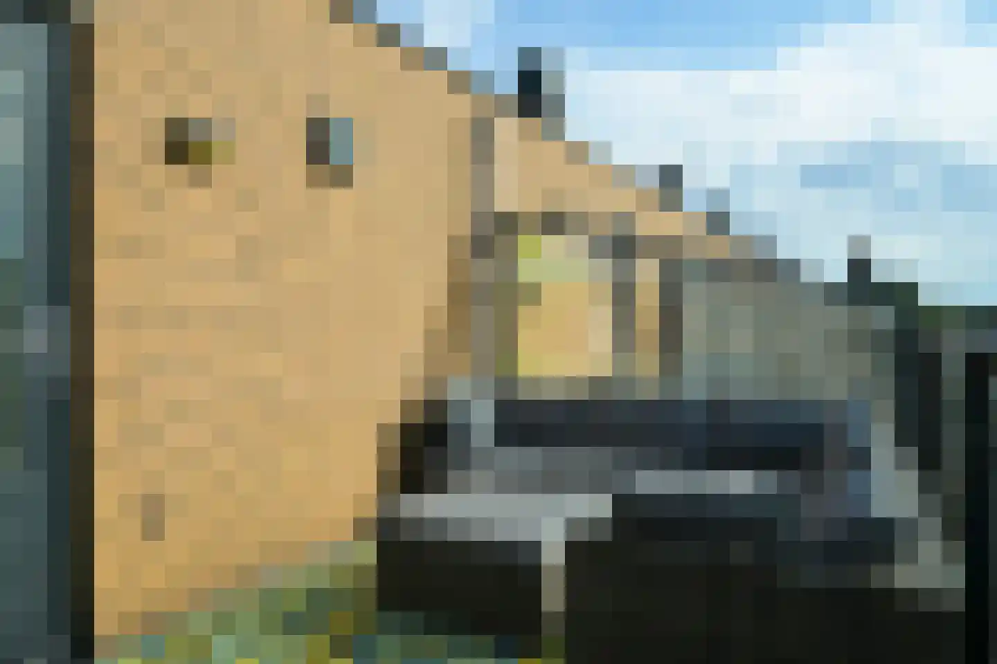 Oude Haagweg 124 E Den Haag thumbnail 36