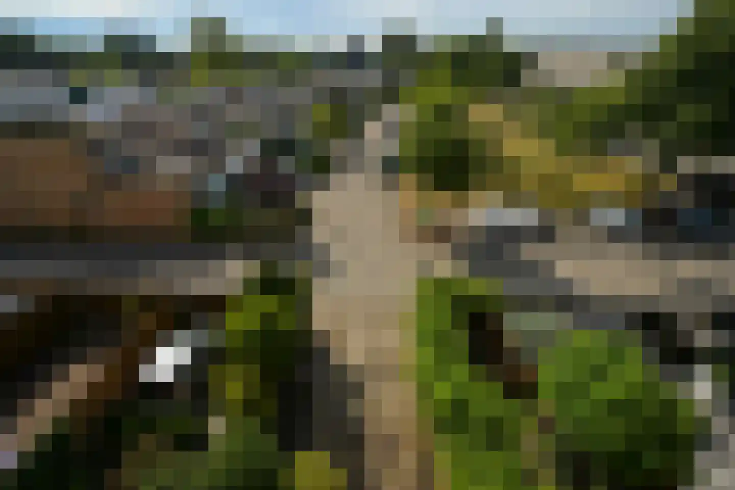 Oude Haagweg 124 E Den Haag thumbnail 8