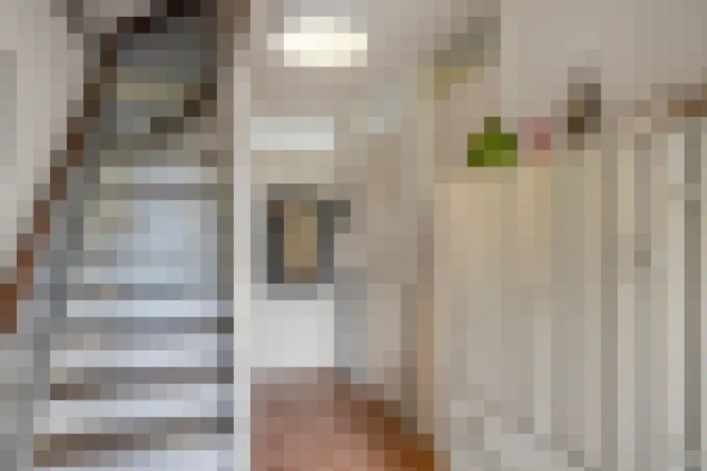 Oude Haagweg 126 Den Haag thumbnail 4