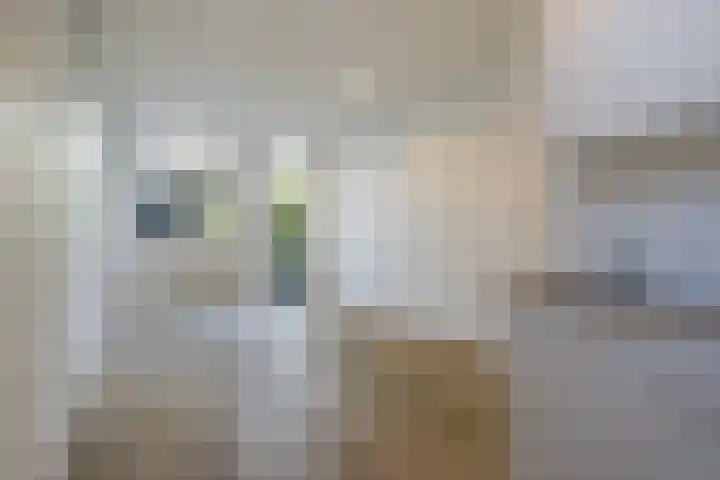 Oude Haagweg 287 Den Haag thumbnail 18