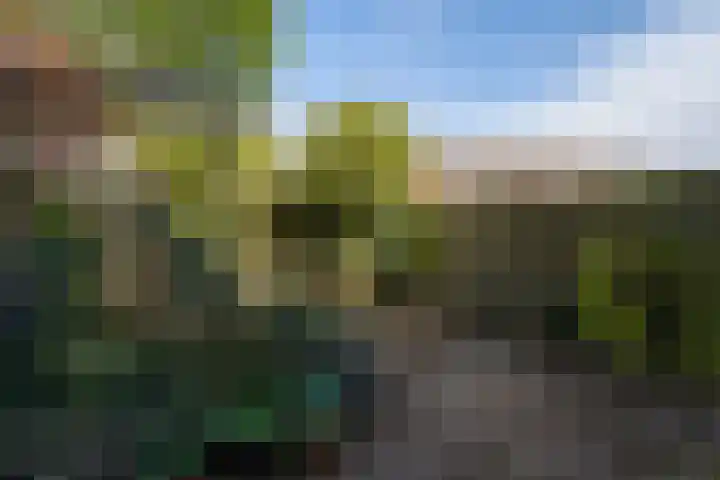 Oude Haagweg 287 Den Haag thumbnail 4