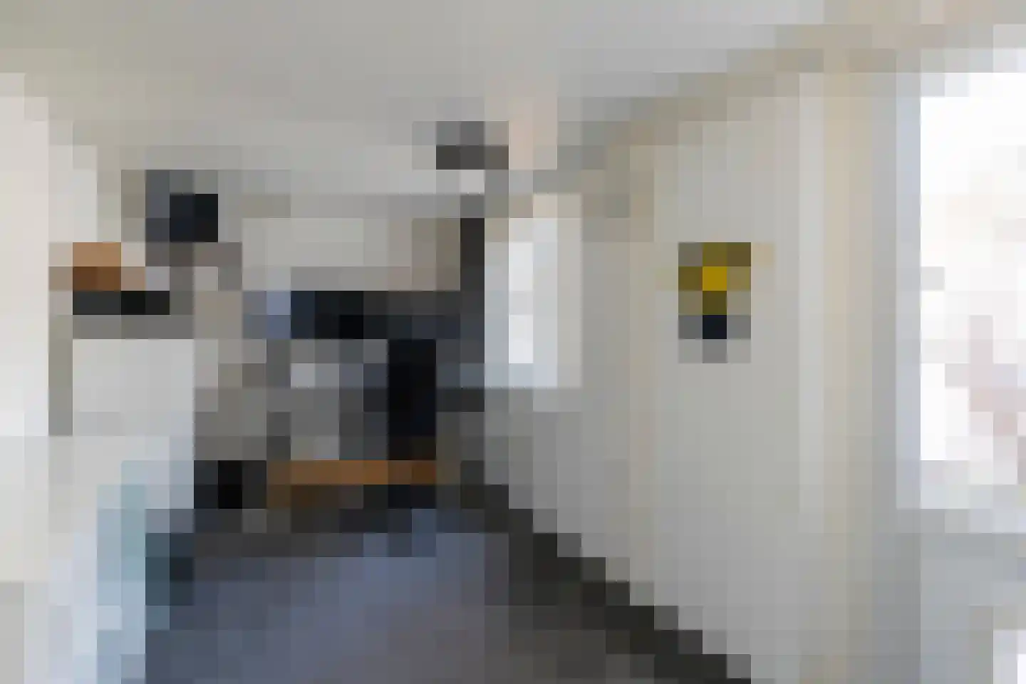 Oude Haagweg 347 Den Haag thumbnail 18