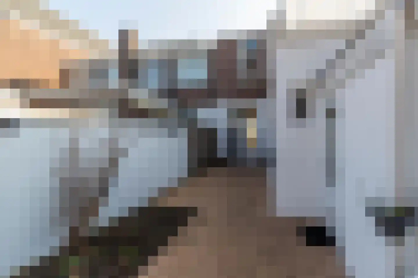 Oude Haagweg 347 Den Haag thumbnail 19