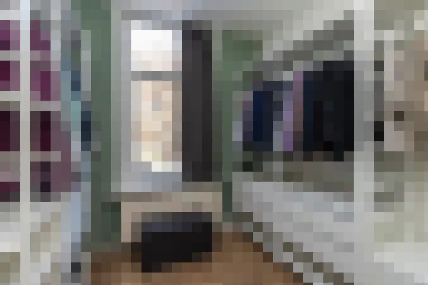 Oude Haagweg 347 Den Haag thumbnail 33