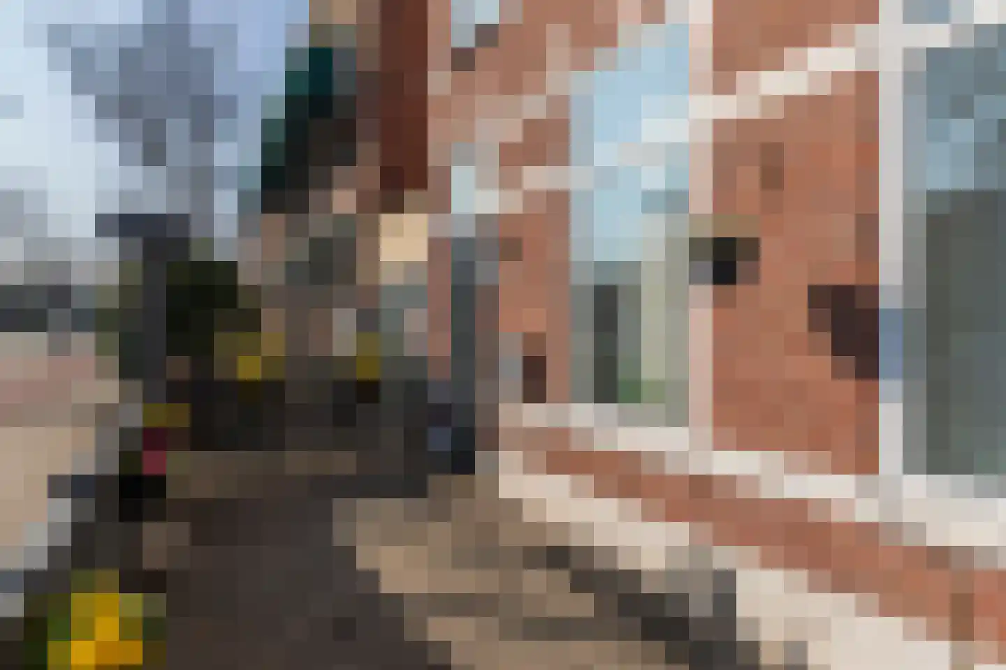 Oude Haagweg 347 Den Haag thumbnail 46
