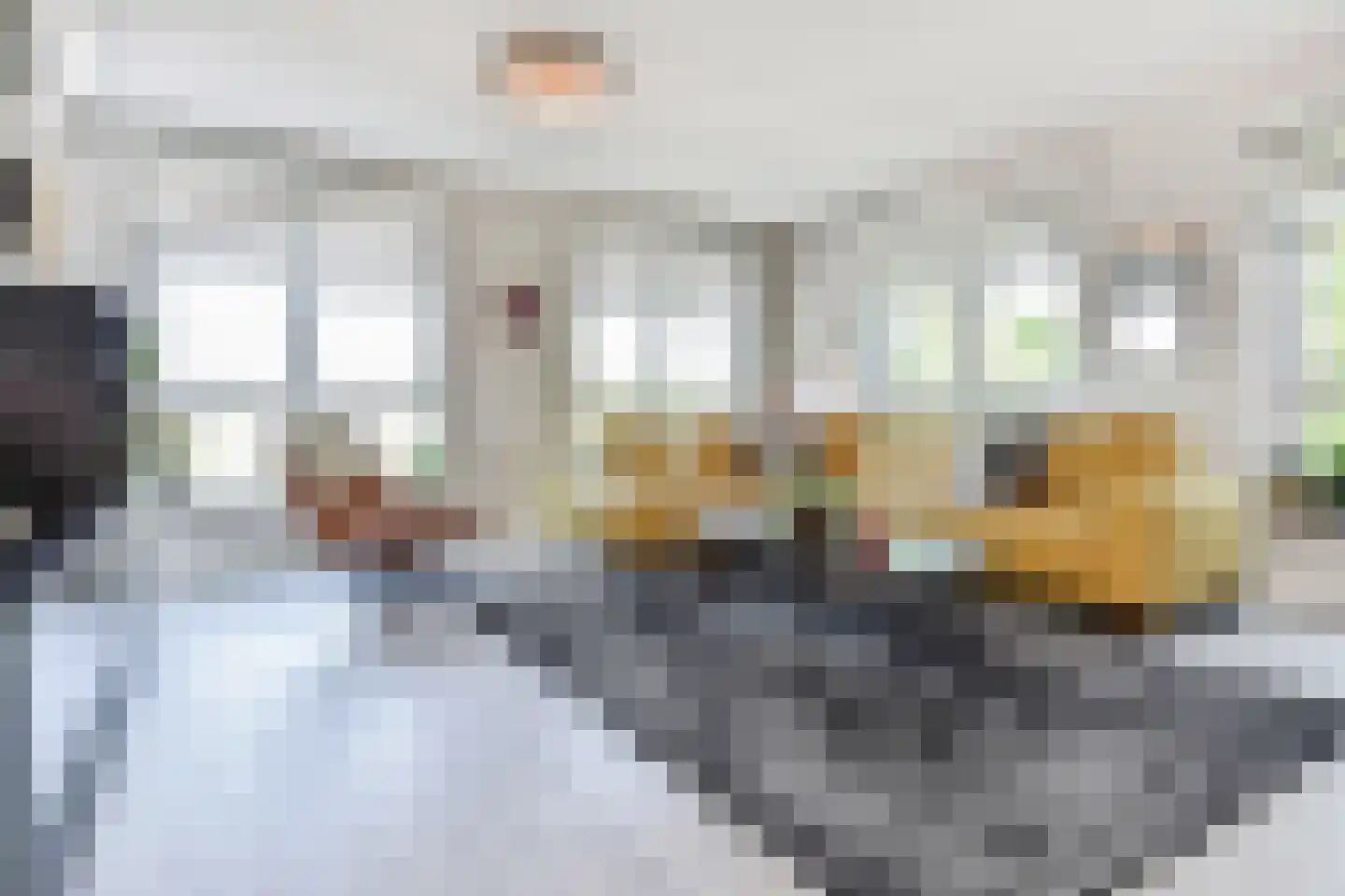 Oude Haagweg 42 E Den Haag thumbnail 20