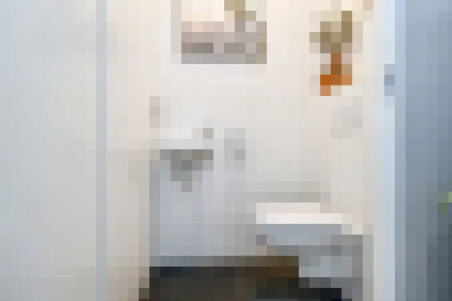 Oude Haagweg 42 L Den Haag thumbnail 31
