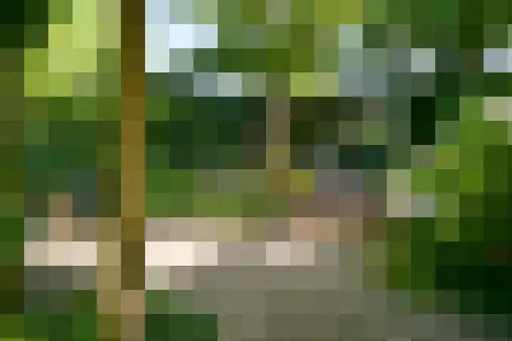 Oude Haagweg 653 Den Haag thumbnail 40