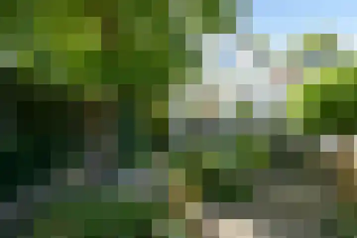 Oude Haagweg 653 Den Haag thumbnail 43