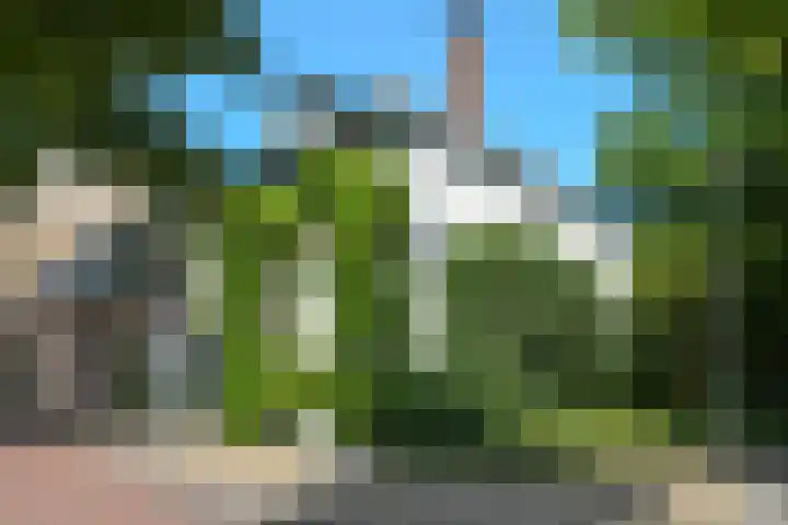Oude Haagweg 653 Den Haag thumbnail 45