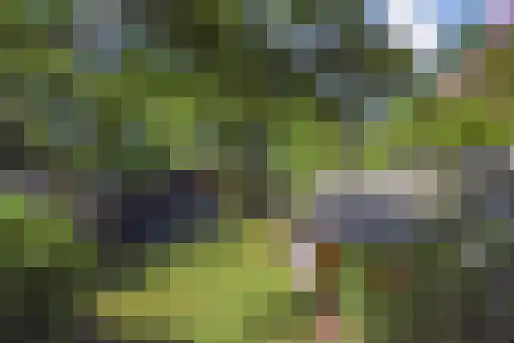 Oude Haagweg 699 Den Haag thumbnail 23