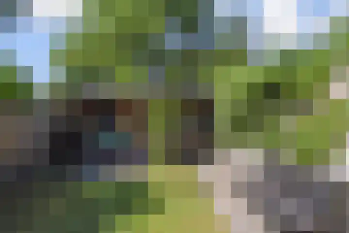 Oude Haagweg 699 Den Haag thumbnail 24