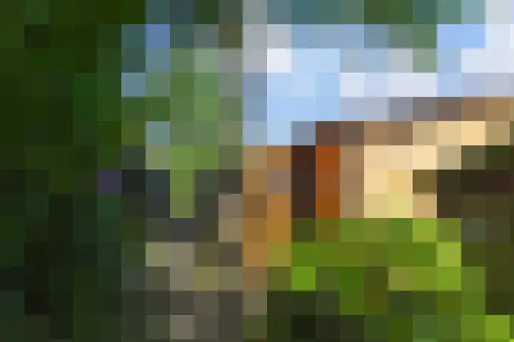 Oude Haagweg 699 Den Haag thumbnail 26