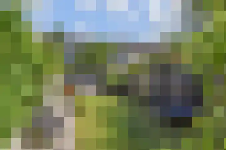 Oude Haagweg 699 Den Haag thumbnail 27