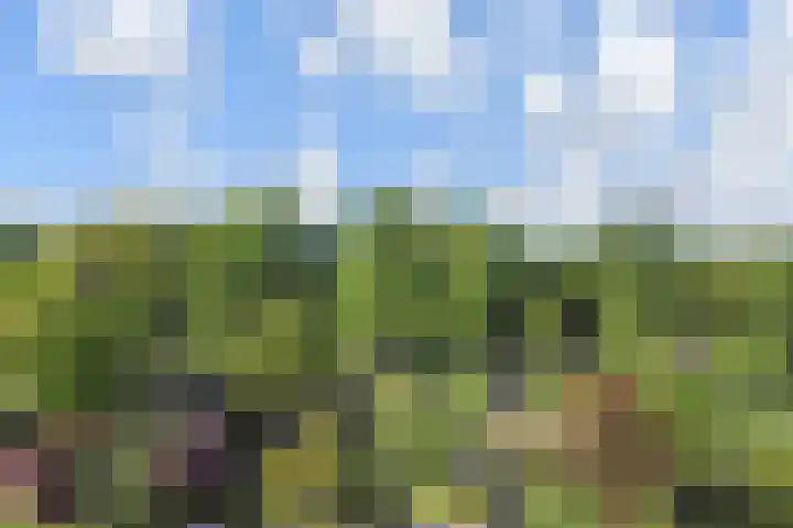 Oude Haagweg 699 Den Haag thumbnail 38