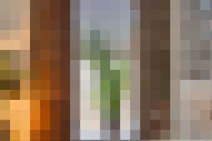 Oude Haaksbergerweg 132 Goor thumbnail 16