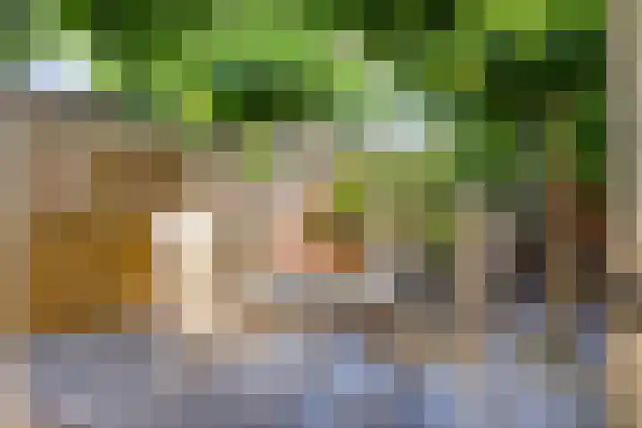 Oude Haaksbergerweg 132 Goor thumbnail 39