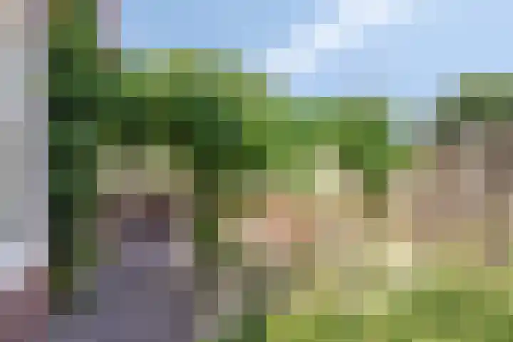 Oude Haaksbergerweg 132 Goor thumbnail 44