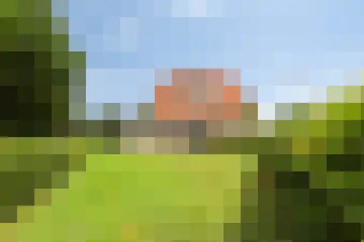 Oude Haaksbergerweg 132 Goor thumbnail 46