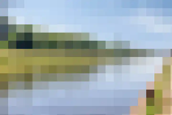 Oude Haaksbergerweg 132 Goor thumbnail 48