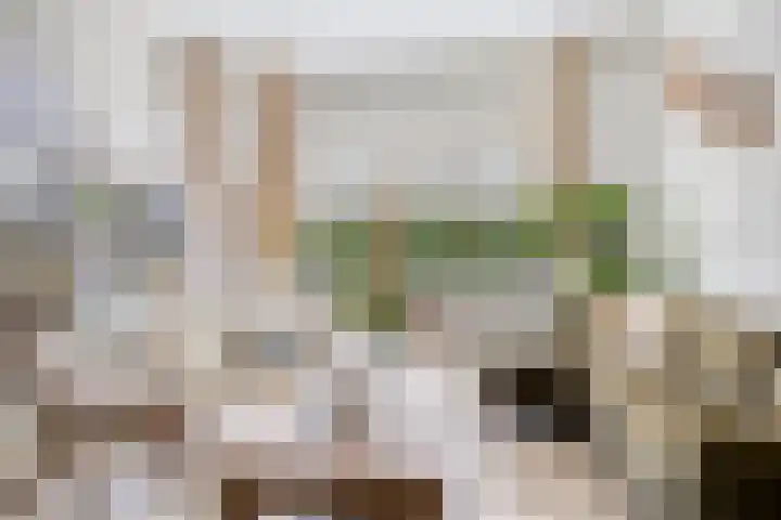 Oude Haaksbergerweg 132 Goor thumbnail 8
