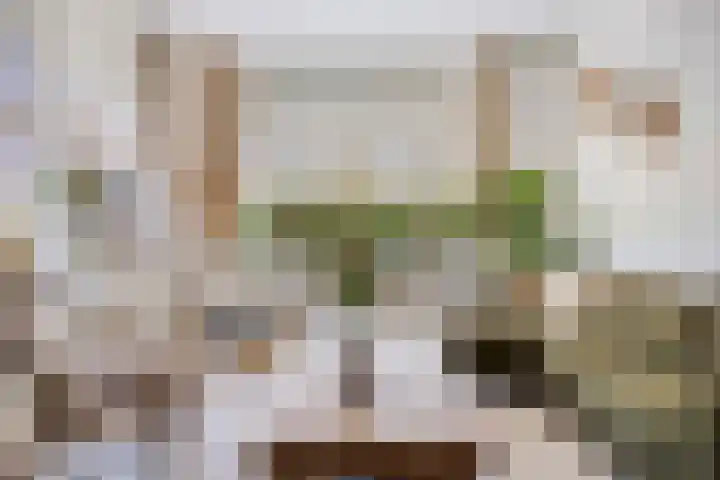 Oude Haaksbergerweg 132 Goor thumbnail 9