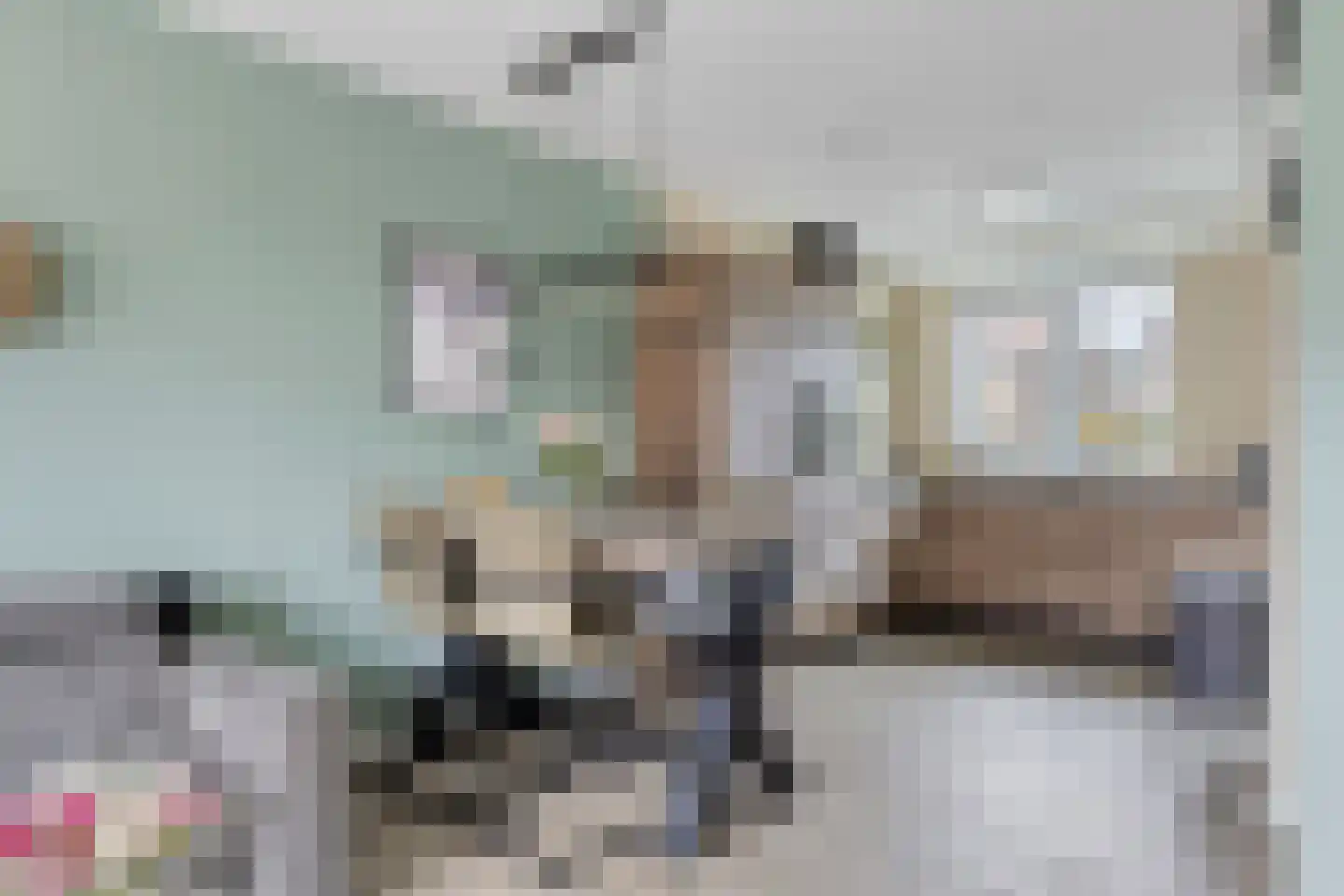 Oude Haaksbergerweg 69 a Goor thumbnail 11