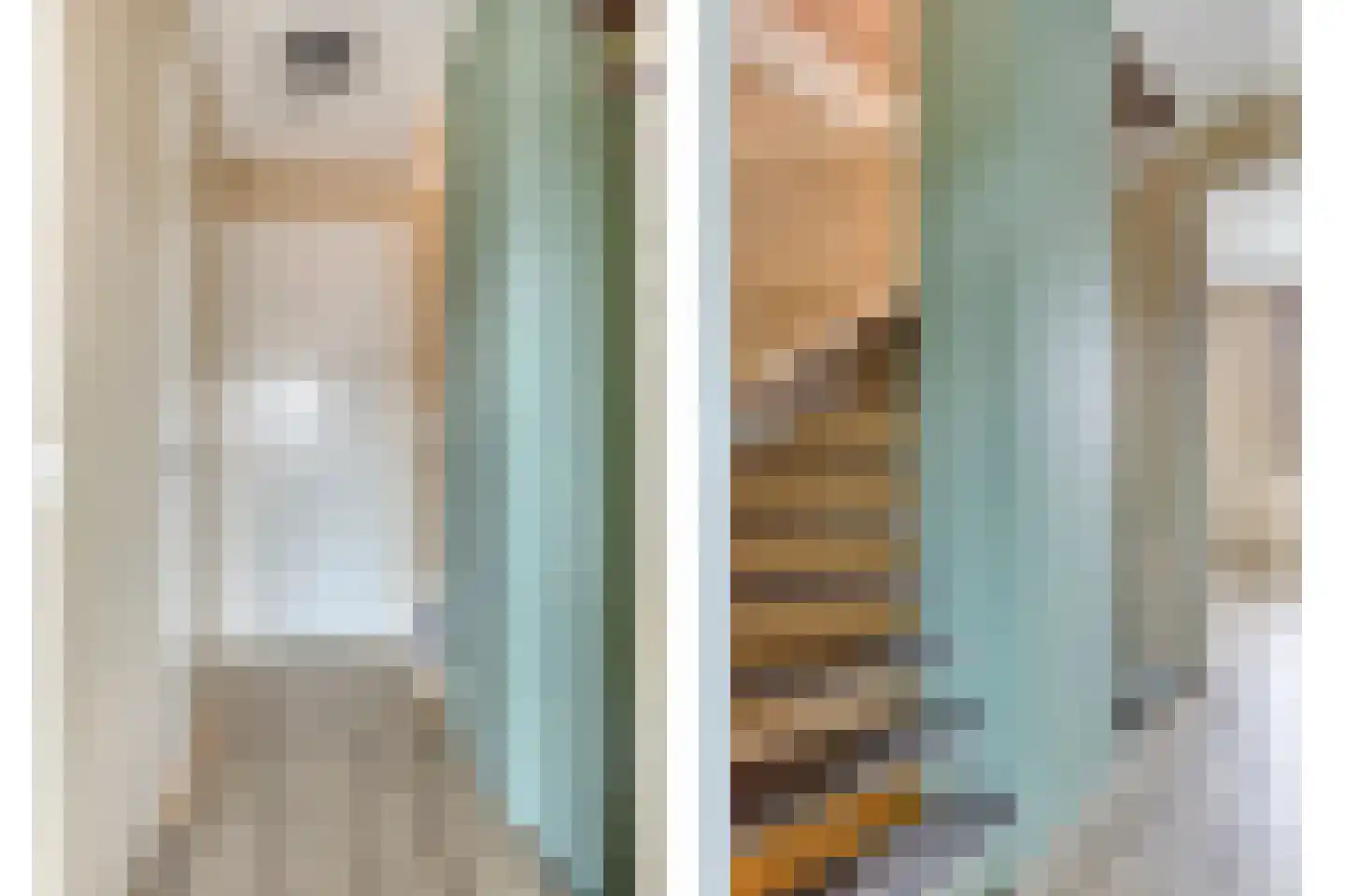 Oude Haaksbergerweg 69 a Goor thumbnail 16