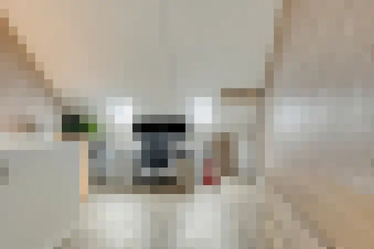 Oude Haaksbergerweg 69 a Goor thumbnail 22