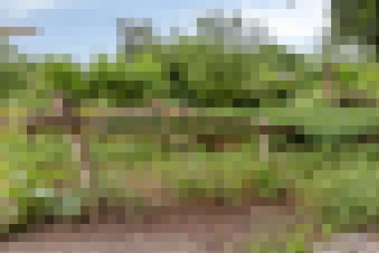 Oude Haaksbergerweg 69 a Goor thumbnail 29