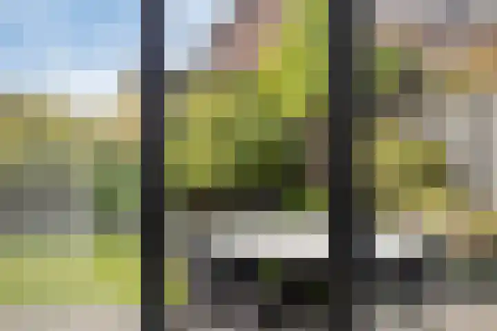Oude Haaksbergerweg 72 Goor thumbnail 19