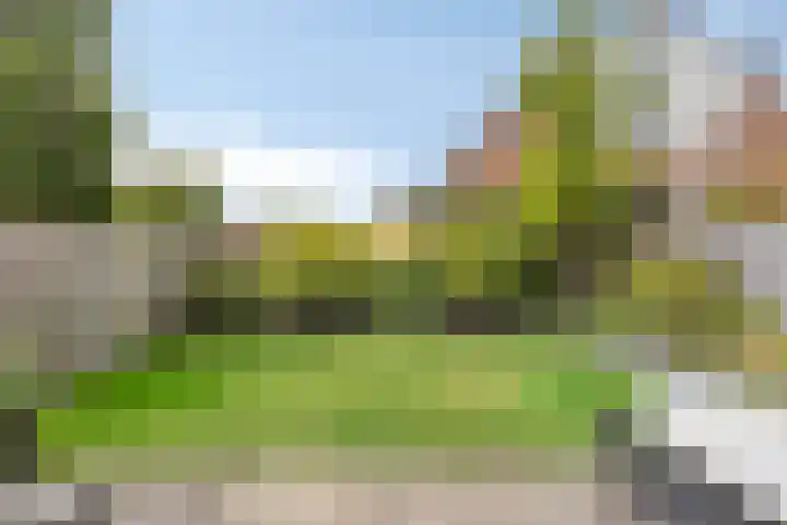 Oude Haaksbergerweg 72 Goor thumbnail 33